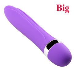 Big/Small Dildo Vibrator Sex Toy