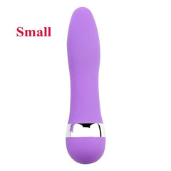 Big/Small Dildo Vibrator Sex Toy