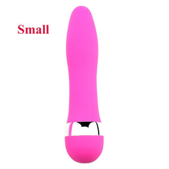 Big/Small Dildo Vibrator Sex Toy