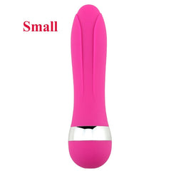 Big/Small Dildo Vibrator Sex Toy